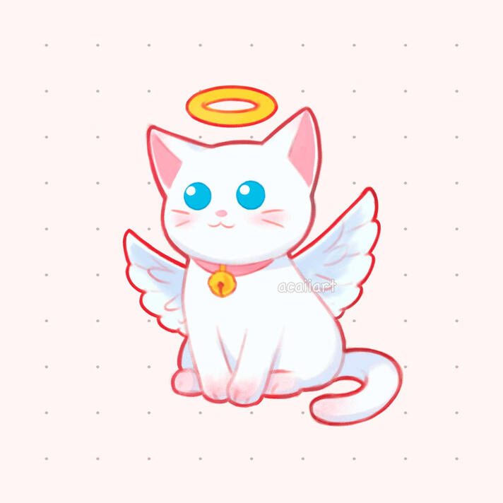 Angel kitty